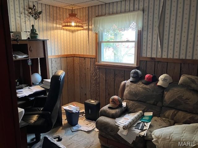 318 Davis Court, Park Hills, MO 63601