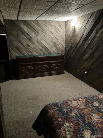 318 Davis Court, Park Hills, MO 63601