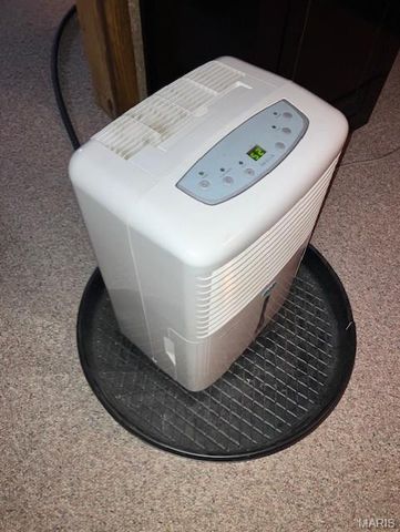 318 Davis Court, Park Hills, MO 63601