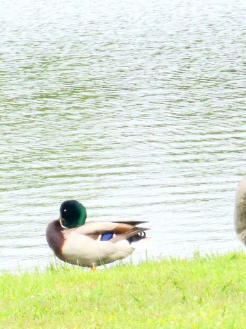 191 Sioux, Quitman, TX 75783