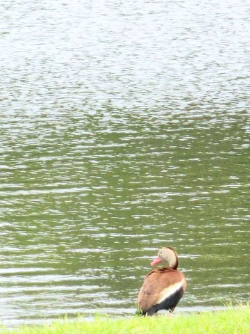 191 Sioux, Quitman, TX 75783