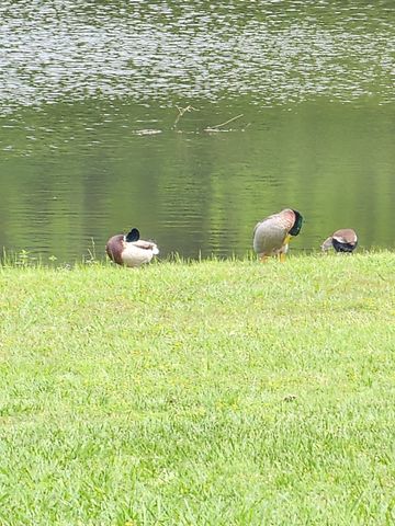 191 Sioux, Quitman, TX 75783