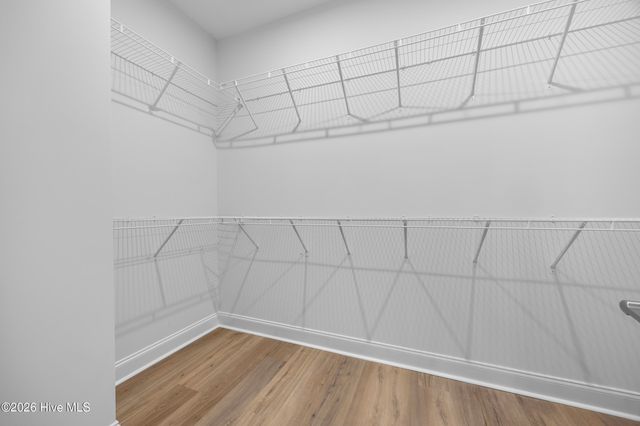 3015 Garden Sage Place 52, Leland, NC 28451