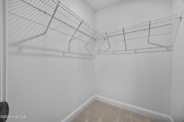 3015 Garden Sage Place 52, Leland, NC 28451