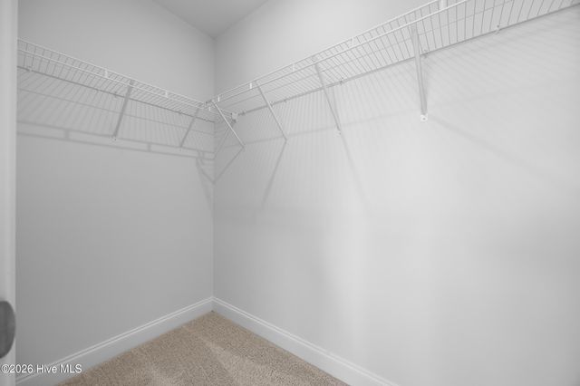 3015 Garden Sage Place 52, Leland, NC 28451