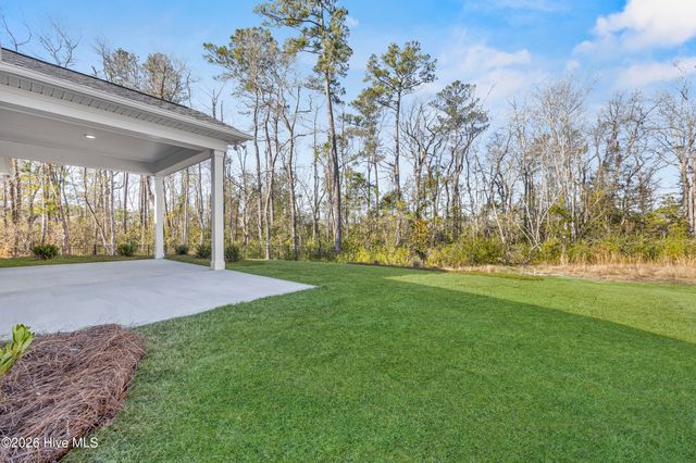 3015 Garden Sage Place 52, Leland, NC 28451