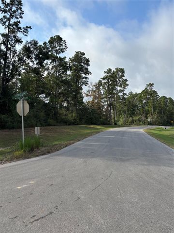 15223 Forest Grove Drive, Willis, TX 77378