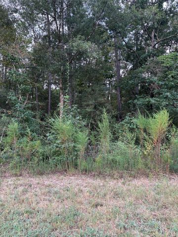 15223 Forest Grove Drive, Willis, TX 77378
