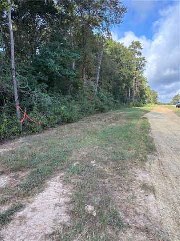 15223 Forest Grove Drive, Willis, TX 77378