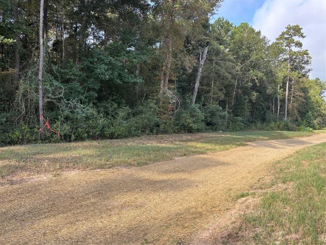 15223 Forest Grove Drive, Willis, TX 77378
