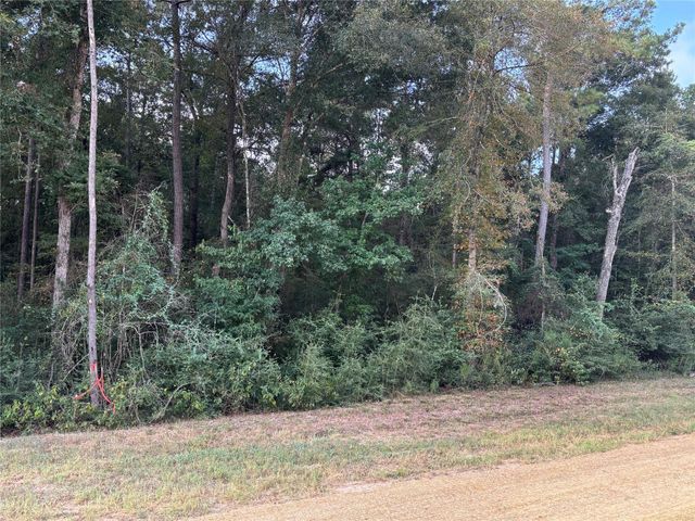 15223 Forest Grove Drive, Willis, TX 77378