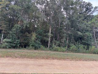 15223 Forest Grove Drive, Willis, TX 77378
