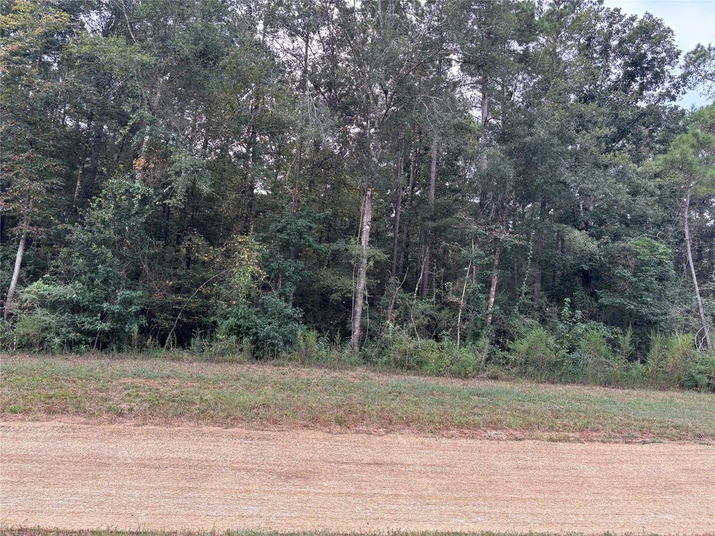 15223 Forest Grove Drive, Willis, TX 77378