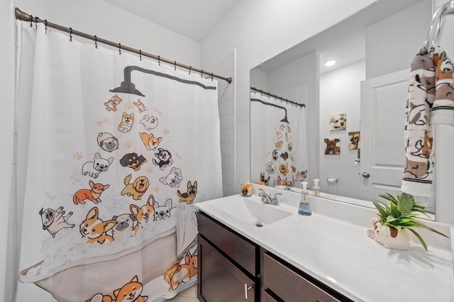 1313 Mainland Shores Lane, Montgomery, TX 77316