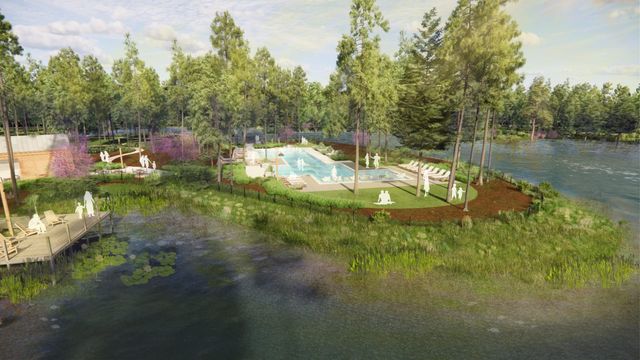 11662 Hooting Owl Drive, Montgomery, TX 77316