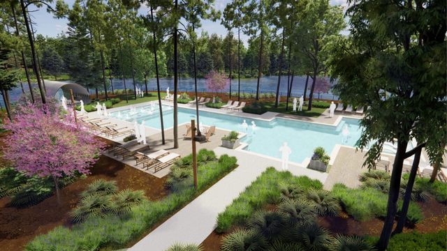 11662 Hooting Owl Drive, Montgomery, TX 77316