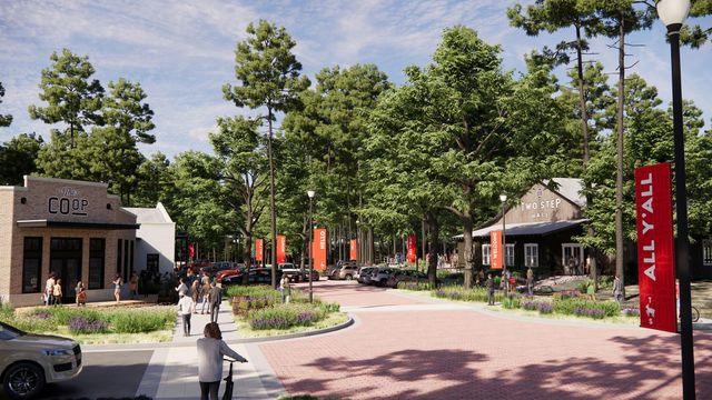 11662 Hooting Owl Drive, Montgomery, TX 77316