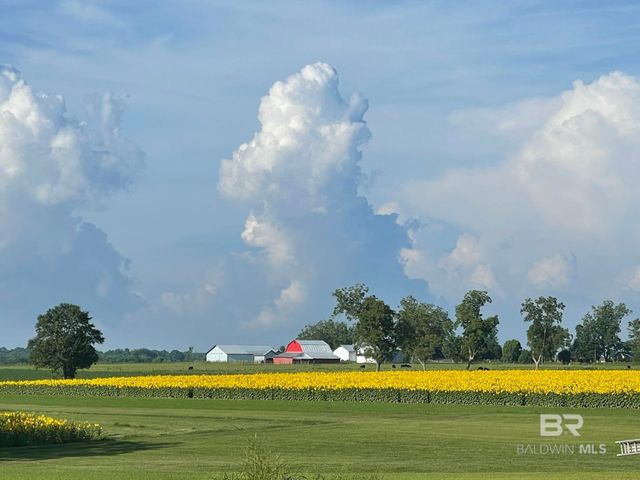 17264 County Road 28, Foley, AL 36535