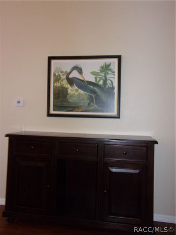 877 W Silver Meadow Loop, Hernando, FL 34442