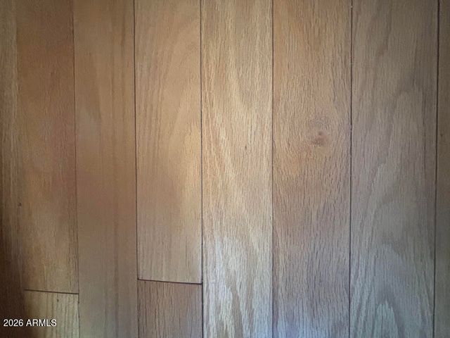 220 MOTHERLODE Drive, Apache Junction, AZ 85119