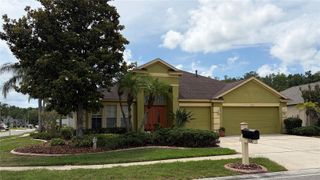19640 BERGENFELD DRIVE, Land O Lakes, FL 34638
