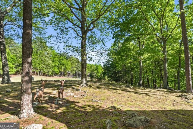 114 Cherokee Drive S, Waleska, GA 30183