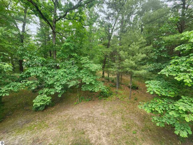 7348 Blue Ox Trail, South Branch, MI 48761