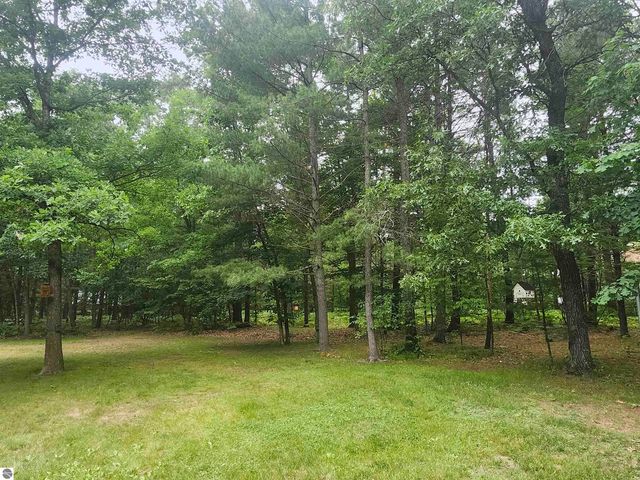 7348 Blue Ox Trail, South Branch, MI 48761