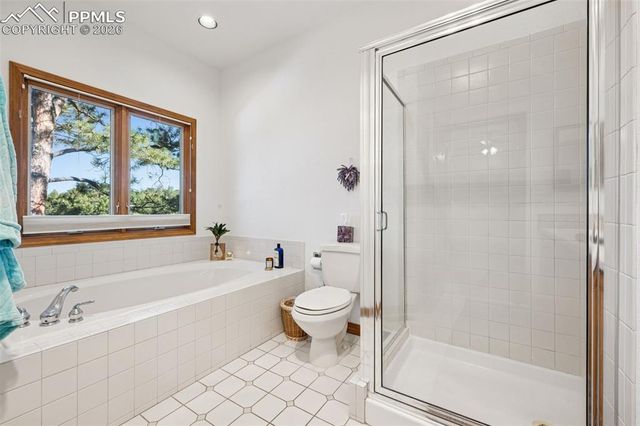 235 Winding Meadow Way, Monument, CO 80132