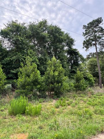 476 County Road 3773, Cleveland, TX 77327