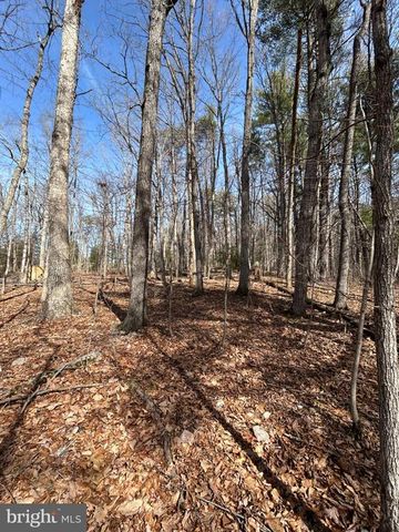 301 ABBOTTS LN, Rileyville, VA 22650