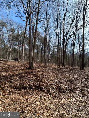 301 ABBOTTS LN, Rileyville, VA 22650