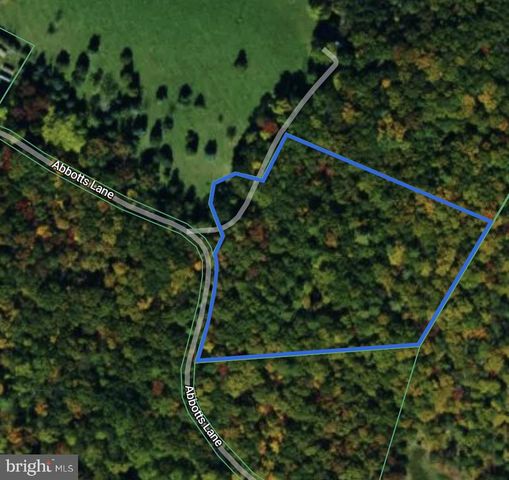 301 ABBOTTS LN, Rileyville, VA 22650