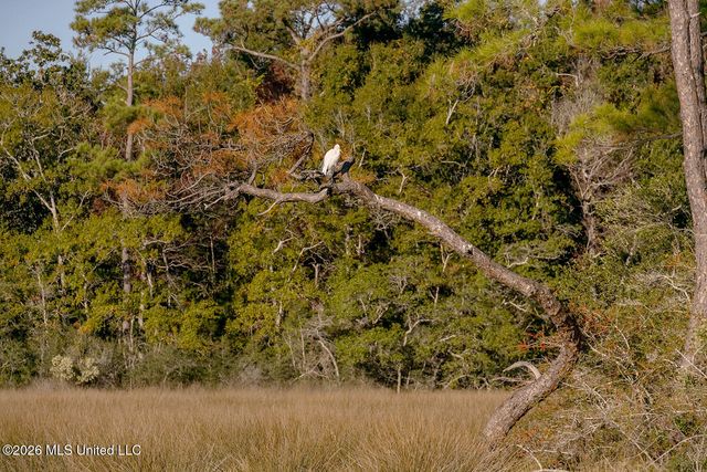 0 Eagle Point Road, Ocean Springs, MS 39564