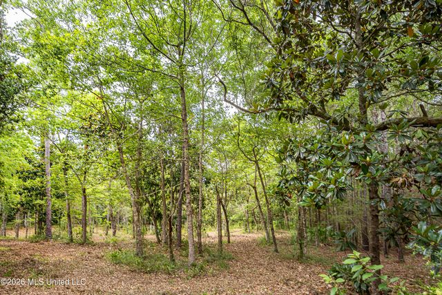 0 Eagle Point Road, Ocean Springs, MS 39564