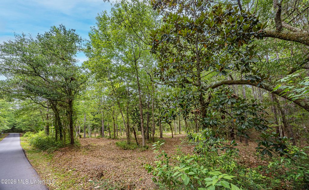 0 Eagle Point Road, Ocean Springs, MS 39564