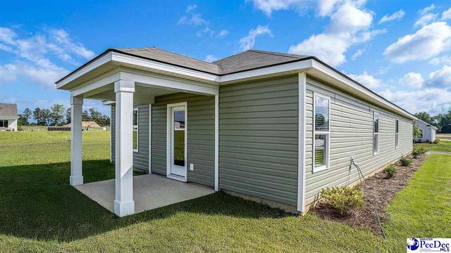 602 Strawberry Field Way, Galivants Ferry, SC 29544