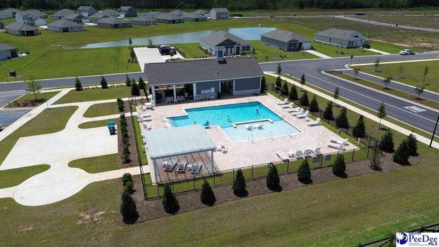602 Strawberry Field Way, Galivants Ferry, SC 29544