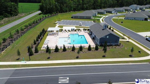 602 Strawberry Field Way, Galivants Ferry, SC 29544