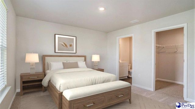 602 Strawberry Field Way, Galivants Ferry, SC 29544