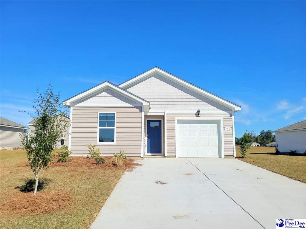 602 Strawberry Field Way, Galivants Ferry, SC 29544
