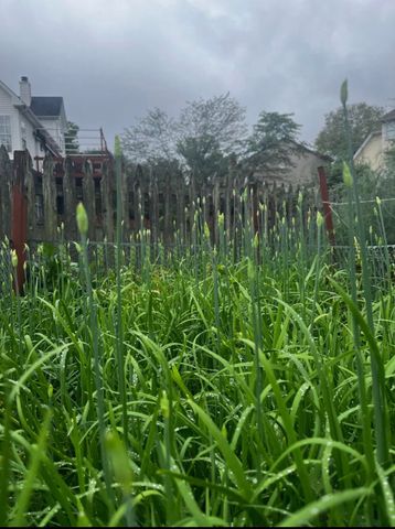 3712 Maple Ridge Circle, Lexington, KY 40509