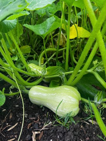 3712 Maple Ridge Circle, Lexington, KY 40509