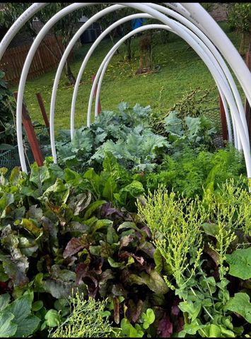 3712 Maple Ridge Circle, Lexington, KY 40509