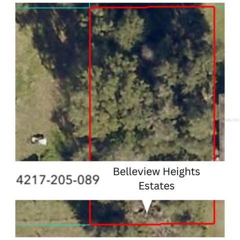 SE 141ST PLACE, Summerfield, FL 34491