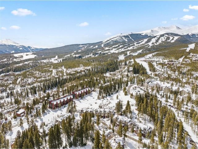 31 Tall Pines Dr 3, Breckenridge, CO 80424
