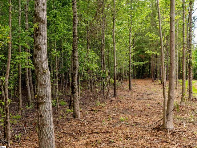 00 Terry Road Lot 1, Fountain Inn, SC 29644