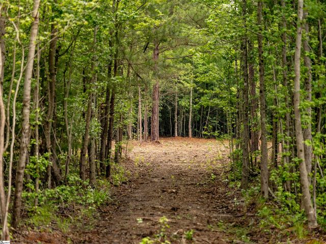00 Terry Road Lot 1, Fountain Inn, SC 29644
