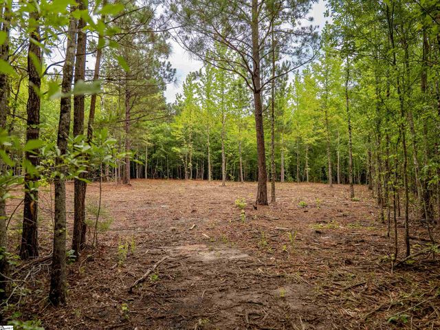 00 Terry Road Lot 1, Fountain Inn, SC 29644