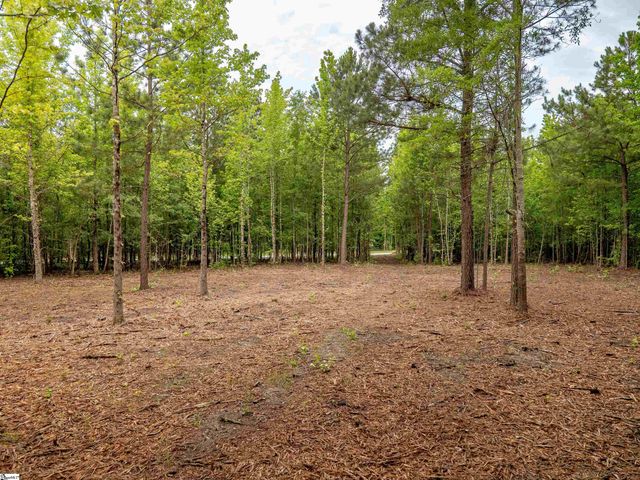 00 Terry Road Lot 1, Fountain Inn, SC 29644